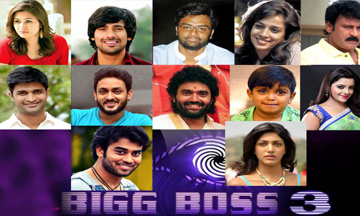 Telugu bigg boss 3 list