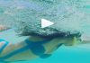 Kaira Advani underwater video