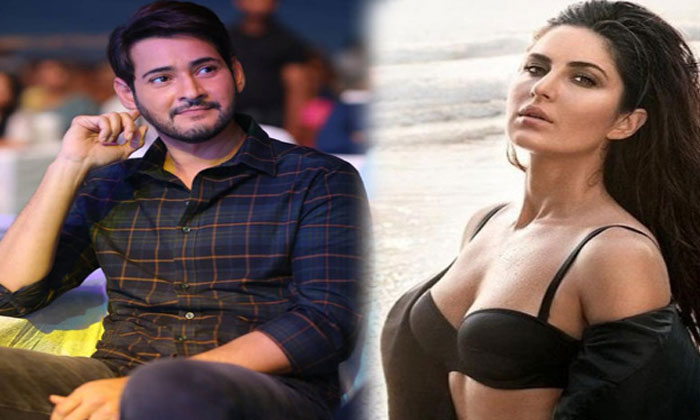 Katrina Kaif to team up with Mahesh Babu? 1 katrina kaif mahesh babu