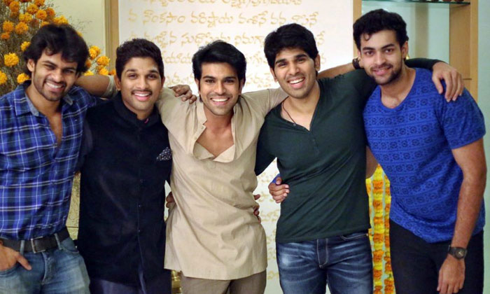 mega family filmy flops