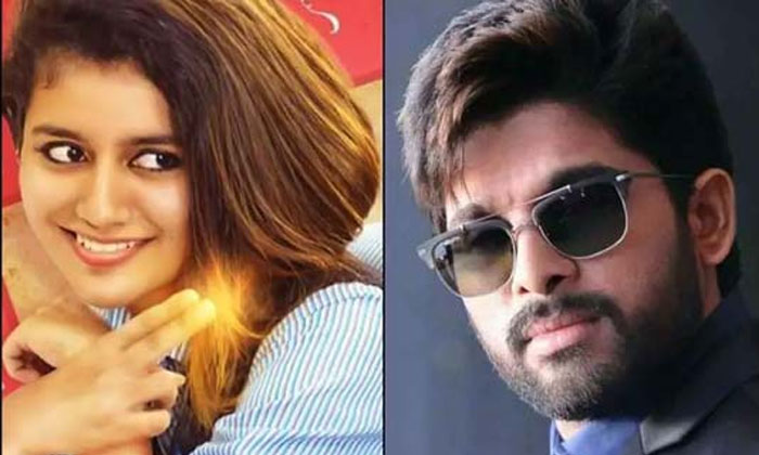 priya prakash missed allu arjun film