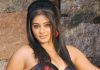 ఎన్టీఆర్ హీరోయిన్ రీఎంట్రీ!! Priyamani in Sirivennela Film