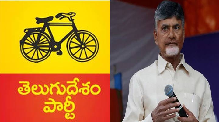 అలీని అభ్యర్థిగా ప్రకటిస్తే ఆ సీటులో ఓటమి తప్పదు: టీడీపీ 1 10 8