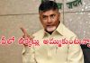 వేలం పాటలా వైసీపీ టిక్కెట్లు అమ్ముకుంటుంది: చంద్రబాబు