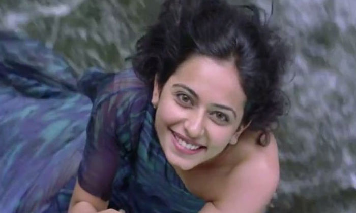 Finally, Tollywood offer to Rakul Preet 1 rakul preet manmadhudu 2