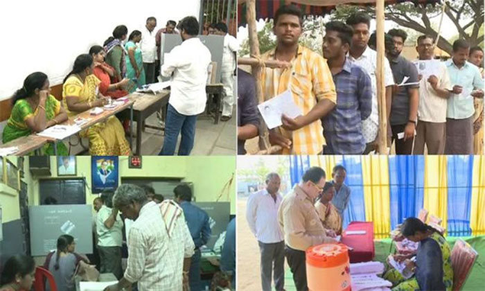 AP polling elections 2019