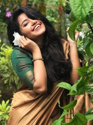 Anupama Parameswaran Looking Beautiful In Saree 1