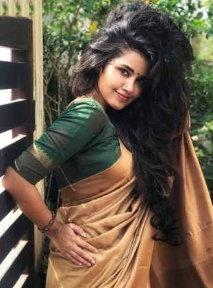 Anupama Parameswaran Looking Beautiful In Saree 3