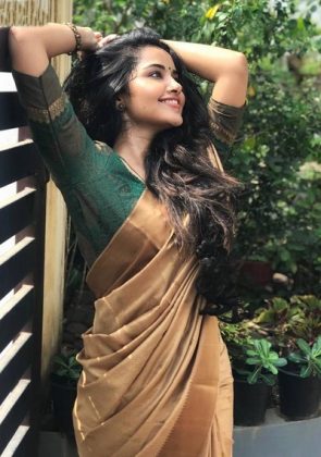 Anupama Parameswaran Looking Beautiful In Saree 4