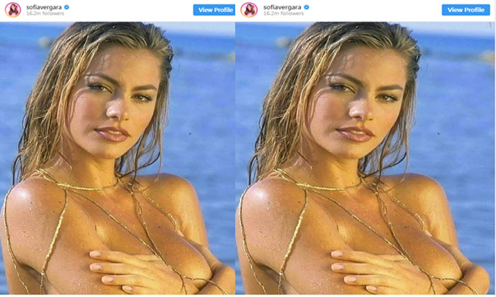 Sofia Vergara flashback image