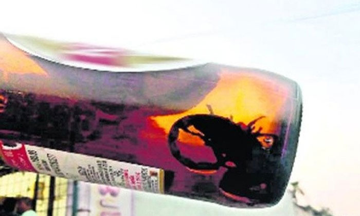 Shocking! Scorpion found in bottle in Warangal 1 scorpian warangal