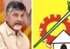 ఎన్నికల ఫలితాల తర్వాత ముక్కలవ్వనున్న టీడీపీ..!