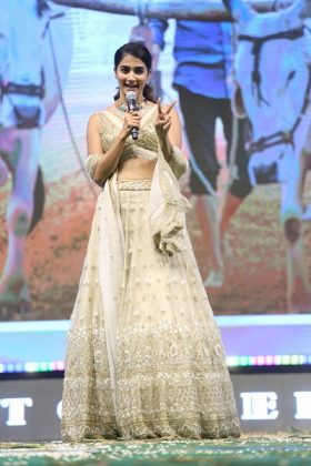 Maharshi Movie Pre Release event 15