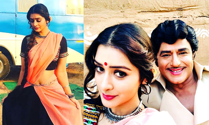 payal rajput balakrishna