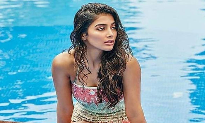 pooja hegde valmiki