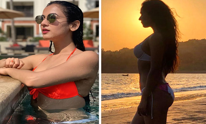 Legend actress hot bikini stills 1 sonal chauhan bikini stills