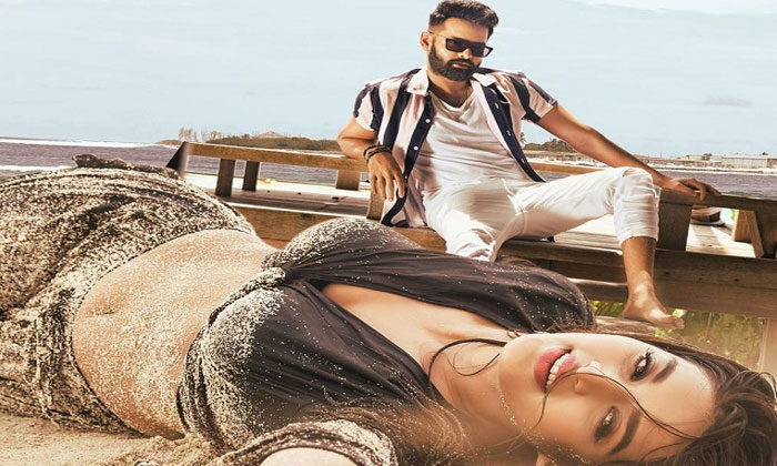 Nidhhi Agerwal Undipo