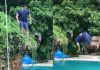 Salman’s back flip leave you in awe