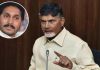 సీఎం జగన్కు వార్నింగ్ ఇస్తున్నా: చంద్రబాబు