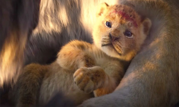 The Lion King-Telugu box office report 1 The Lion King telugu collections