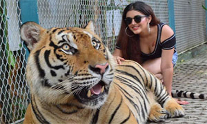 Nela Ticket actress dares with a Tiger 1 malvika tiger