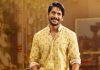 3 heroines for Naga Chaitanya naga-chaitanya-films