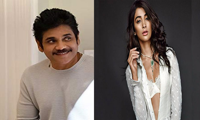 nagarjuna pooja hegde