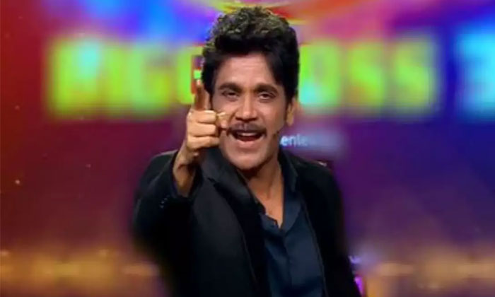 real couple in bigg boss 3