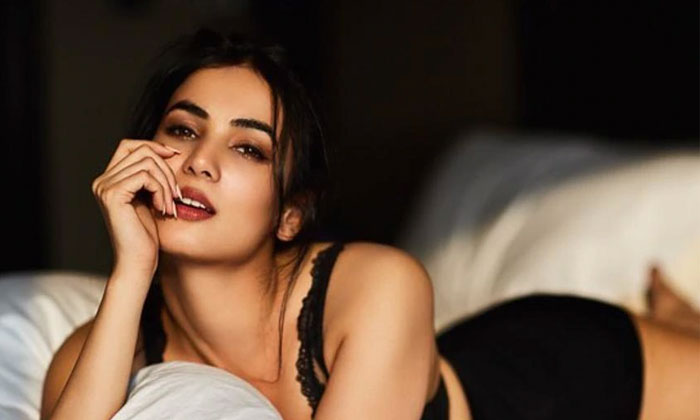 Balakrishna heroine makes a comeback 1 sonal chauhan