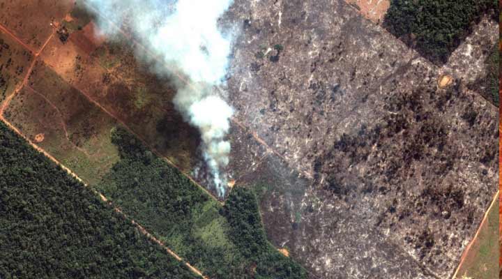 అమెజాన్ అడవుల దగ్ధంపై తారల ఆవేదన 2 8 21