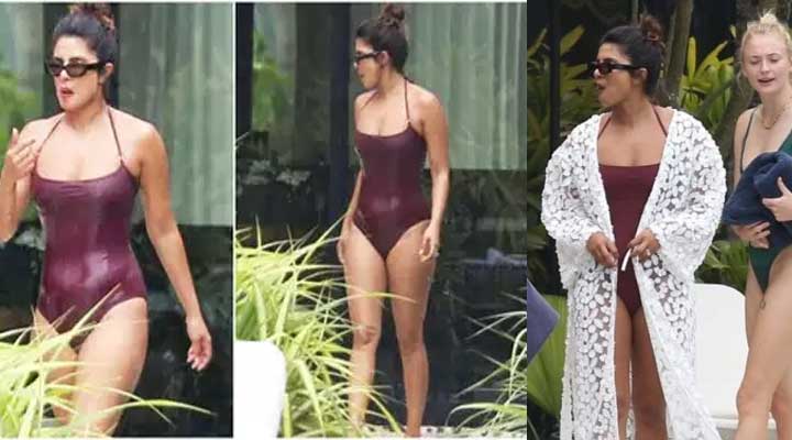 ప్రియాంక చోప్రా బికిని హాట్ ఫోటోలు 1 9 3