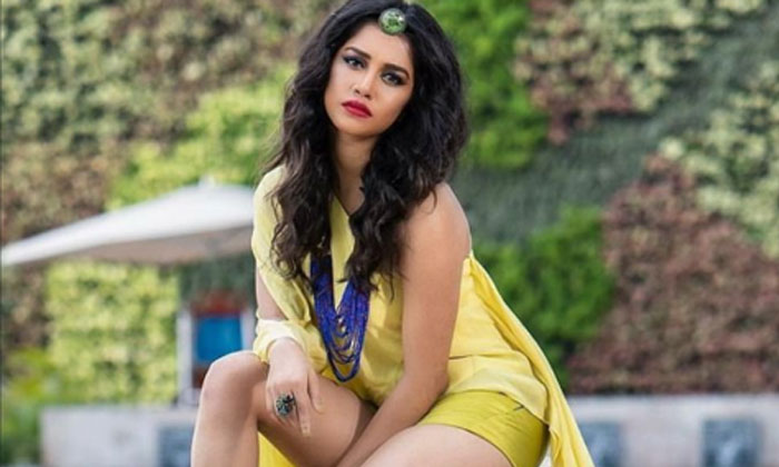 Pic Talk: iSmart girl hot pose 1 Nabha Natesh