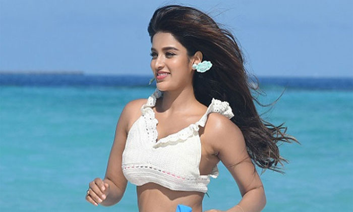 nidhi agerwal hyderabad connections