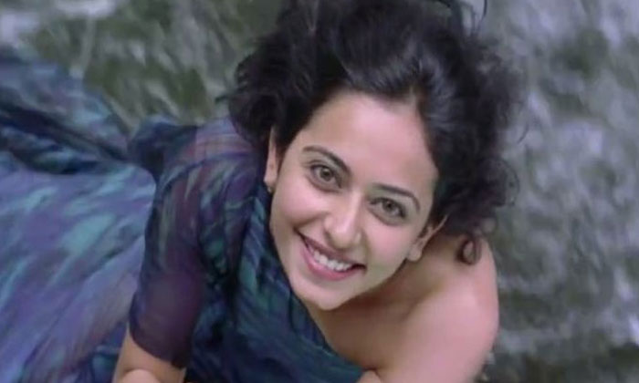 rakul preet tollywood career