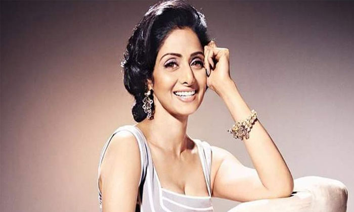 Sridevi's wish fulfilled finally 1 sridevi boney kapoor