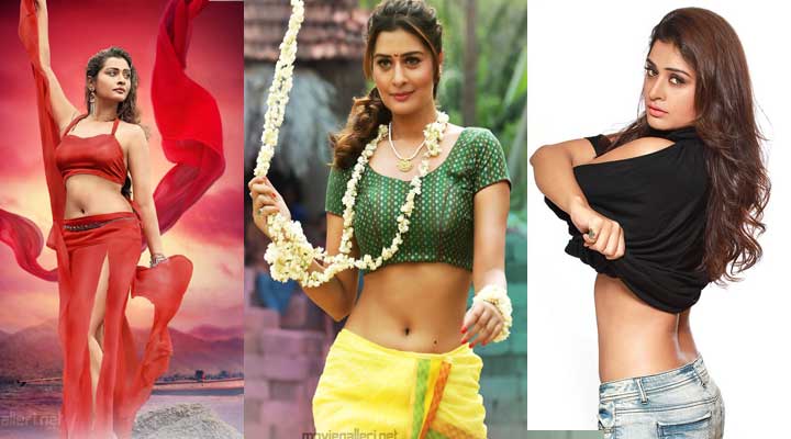 'RDX లవ్'లో అవీ అన్నీ ఉంటాయ్.. సేఫ్టీ కంపల్సరీ: పాయల్ 1 7a