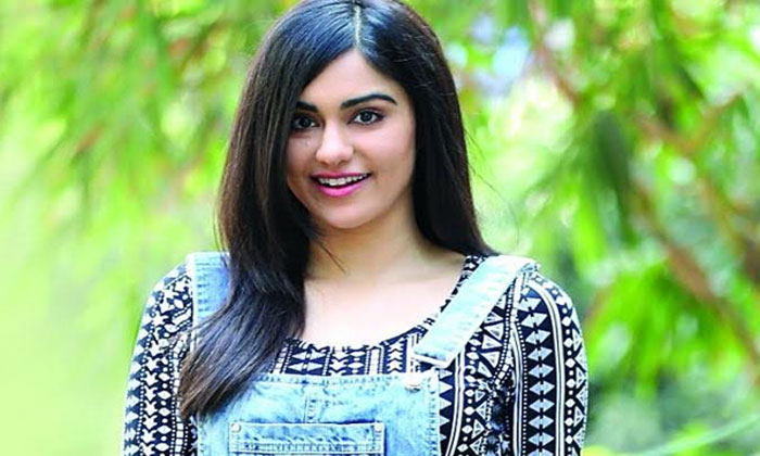 Adah Sharma seeks 'groom', With Conditions applied 1 adah sharma groom