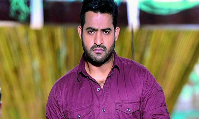 Why did Jr NTR missed tweet on Mahesh? 1 jr ntr tiger fighting