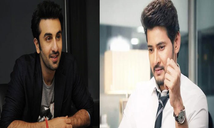 Mahesh rejected; Ranbir accepted 1 mahesh babu ranbir kapoor
