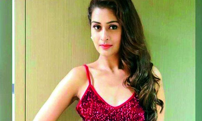 payal rajput special song