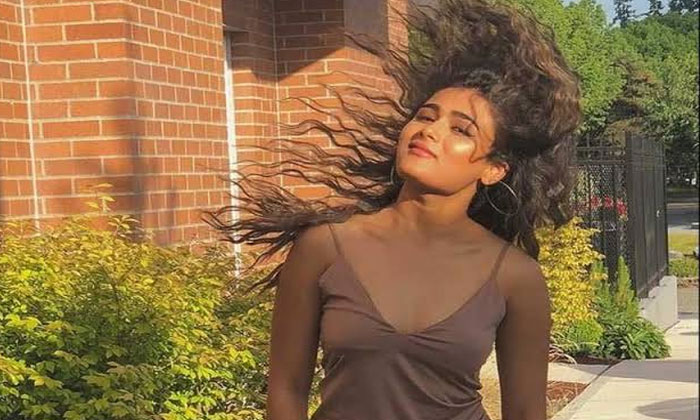 shalini pandey Bollywood