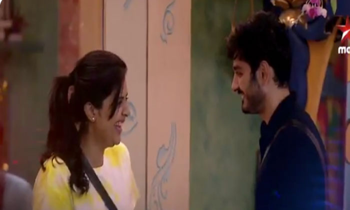 Bigg Boss Telugu 3: Plan to create fights misfired 1 bigg boss telugu 3 fights