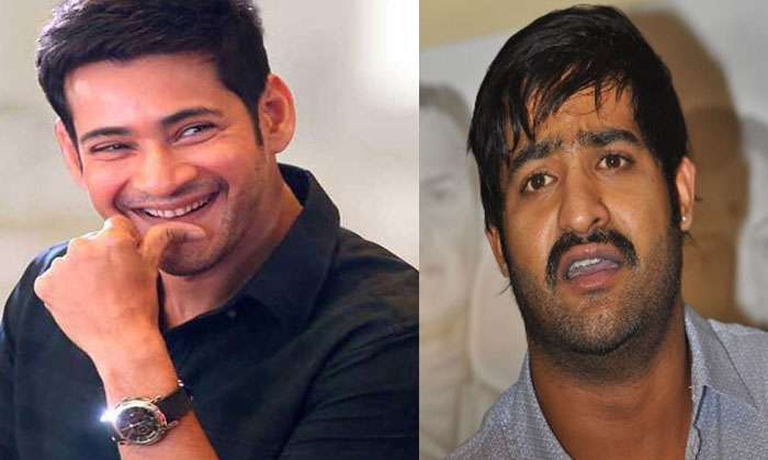 Mahesh gains with NTR's loss? 1 mahesh babu Prashanth Neel