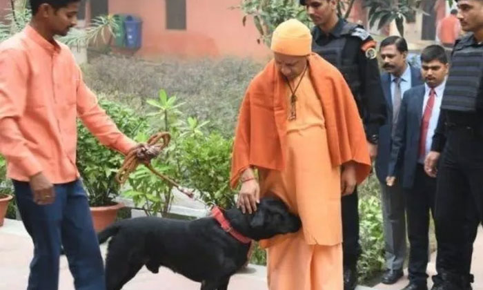 CM's pet becomes internet celebrity 1 Yogi Adityanath kalu