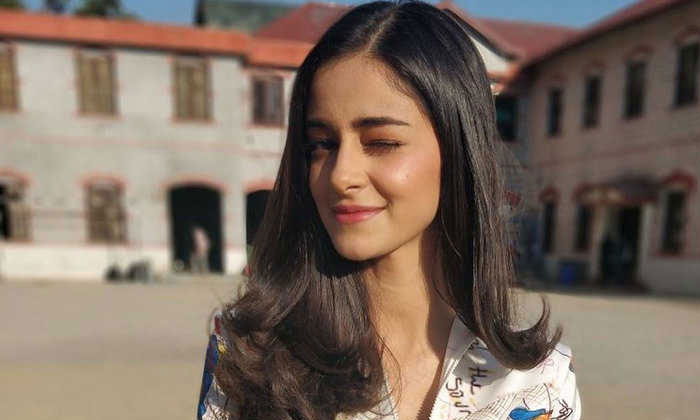 ananya pandey salman khan