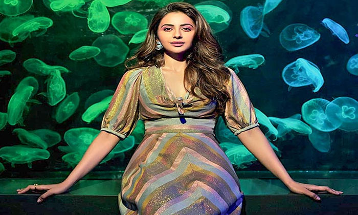 Rakul Preet's assets details! 1 rakul preet singh assets