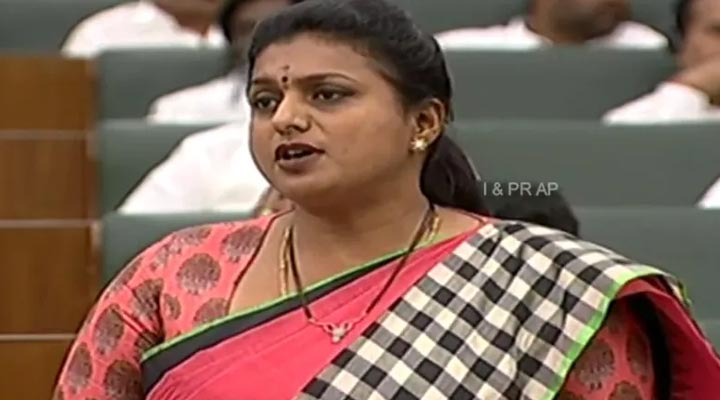 ఆడపిల్లకు కష్టం వస్తే.. గన్ కంటే ముందే జగన్ రక్షిస్తాడనే నమ్మకం రావాలి: రోజా 1 6 8