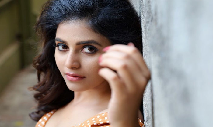 actress anajli pink remake