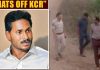 Jagan hails KCR on Hyderabad encounter