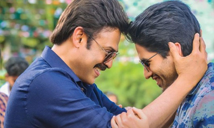 venky mama box office